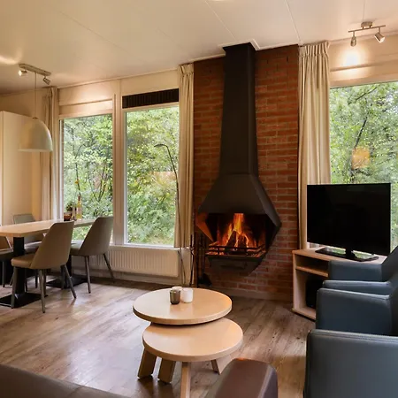 With A Fireplace, Near The Veluwe Putten
